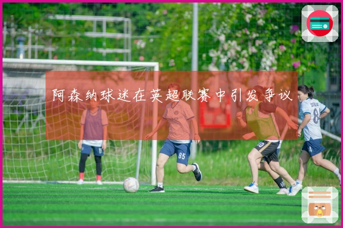 阿森纳球迷在英超联赛中引发争议